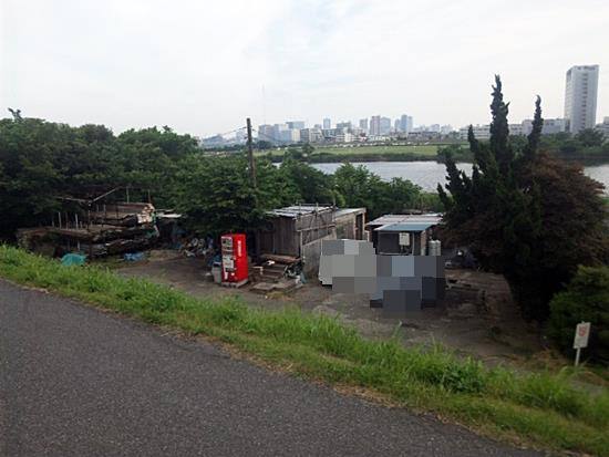 多摩川大橋 東京側 のテナガエビ釣り 15年初めてのテナガエビ釣り