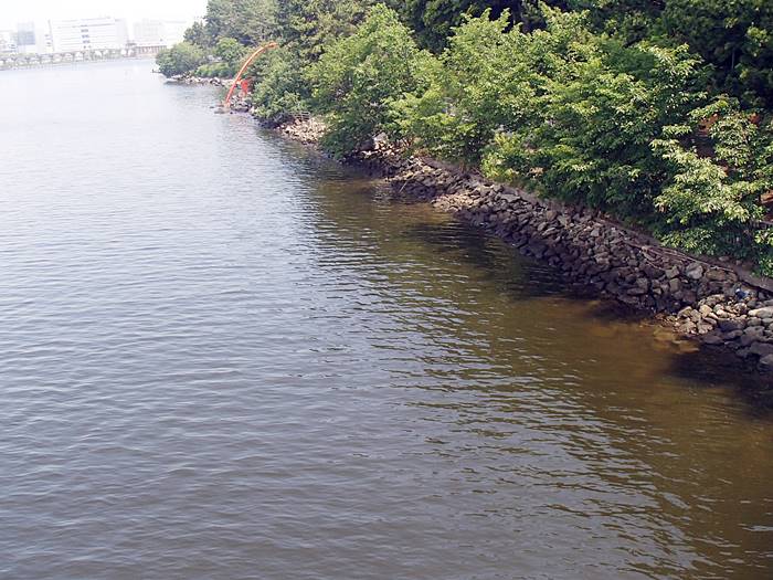 水が濁る京浜運河