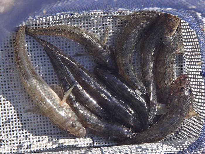 2025N30ڂ̓n[ނ͂܂⌊ނ